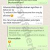 BIOCHANNA - Kapsul Ikan Gabus Premium