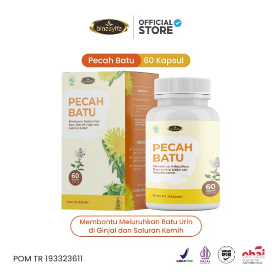 PECAH BATU - Herbal Batu Ginjal & Infeksi Saluran Kemih